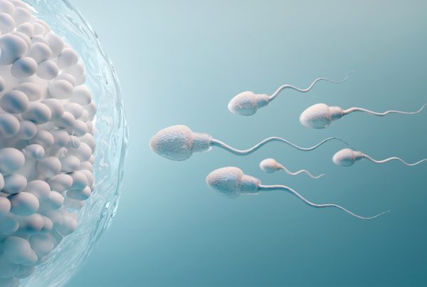¿Cómo se puede mejorar la calidad del esperma?