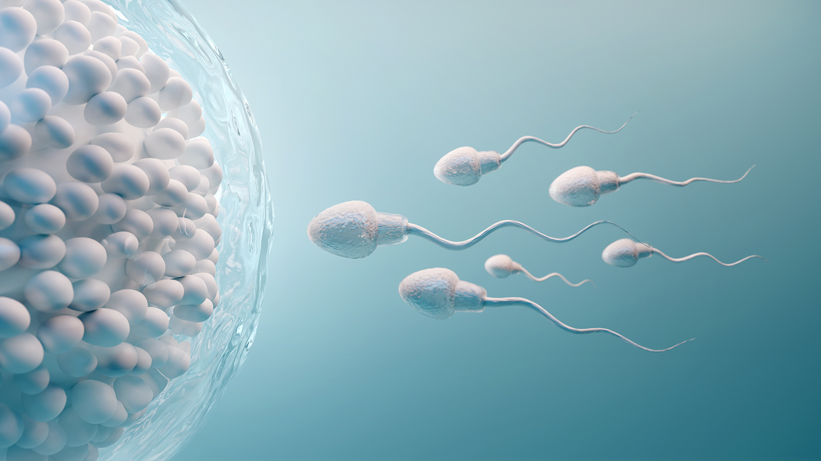 ¿Cómo se puede mejorar la calidad del esperma?